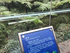 景点-金沙遗址博物馆