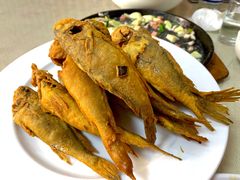 -华春餐馆(鱼山路店)