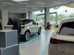 -上海浦东smart汽车全功能店(金桥店)