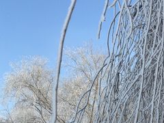 -丁香湖公园