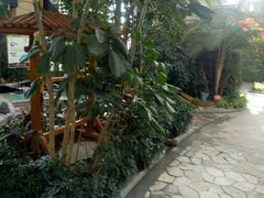 -郑州银基黄帝宫御温泉