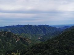 -大岭沟猕猴桃谷风景区