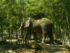 -揭东万竹园旅游景区