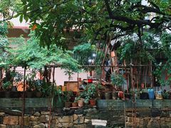 -小洲村