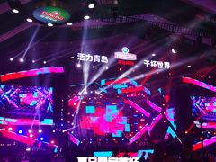 -第35届青岛国际啤酒节