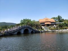 -大屏嶂森林公园
