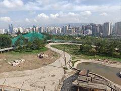-青藏高原野生动物园