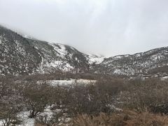 -黄龙山原始森林景区