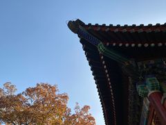 -香山公园