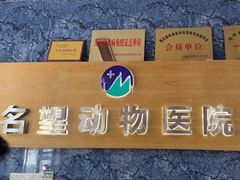 -瑞派名望志远动物医院·猫科·內科·异宠专科(直港大道店)