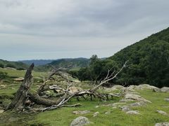 -克什克腾世界地质公园青山景区