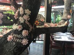 -卷心菜和避孕套餐厅(Pattaya)