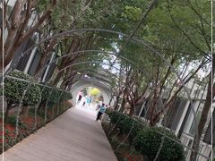 -南宫五洲植物乐园