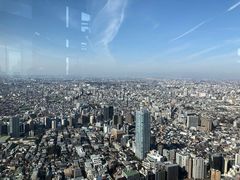 -东京都厅舍