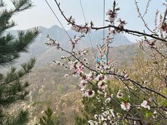 -天津盘山风景名胜区