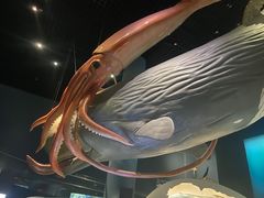 -浙江自然博物院(杭州馆)