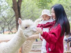 -秀丽东方