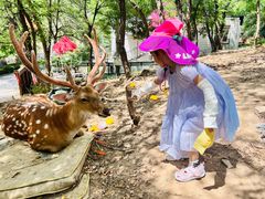 -大连森林动物园