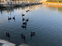 -长春世界雕塑园冰雪艺术天地