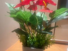 -淳SPA·精油按摩(蓝海御华大饭店)