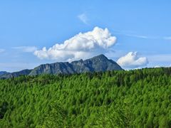 -山王坪喀斯特国家生态公园