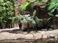 -上海海洋水族馆