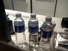 -大同王府至尊酒店(大同古城店)