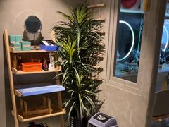 -施奈儿.洗头頭療.按摩SPA.采耳(上梅林店)