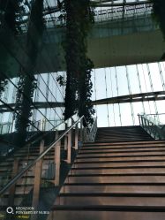 -深圳中洲万豪酒店·宴会厅