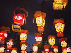 -锦江乐园舞狸花花游园会(夜场专享)