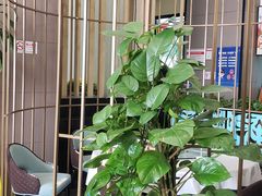 -紫阳家宴(源深店)