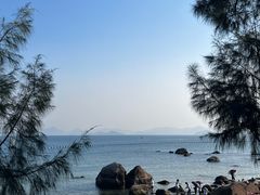-玫瑰海岸文化旅游度假区