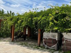 -大连北马山庄