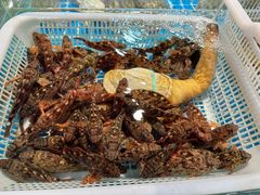 -浦商菜市场·锦德店