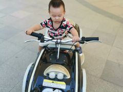 -合肥滨湖国家森林公园