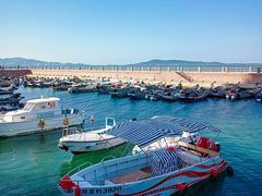 -悦海公园