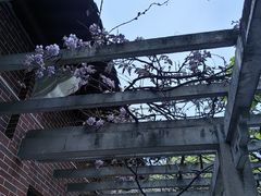 -郑和公园