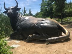 -马家湾湿地公园