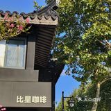 花树旁的咖啡厅
