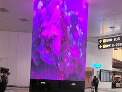-广州白云国际机场-T2航站楼