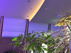 -桂满陇·蟹黄小笼汤包(清河万象店)