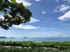 -三亚亚龙湾天域度假酒店