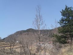 -王莽岭风景区