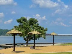 -晓琦农家菜馆·地道农家菜
