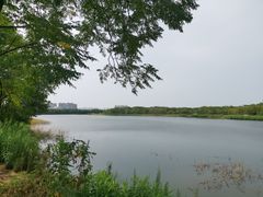 -盘龙城国家考古遗址公园