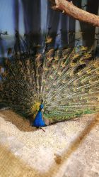 -酷嗒动物文化乐园(cutezoo西溪乐天城店)