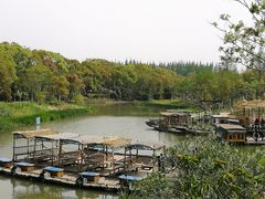 -上海长兴岛郊野公园