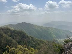 -王顺山国家森林公园