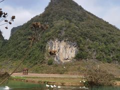 -靖西鹅泉风景区