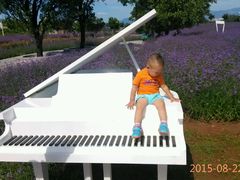 android_upload_pic-密云玫瑰情园